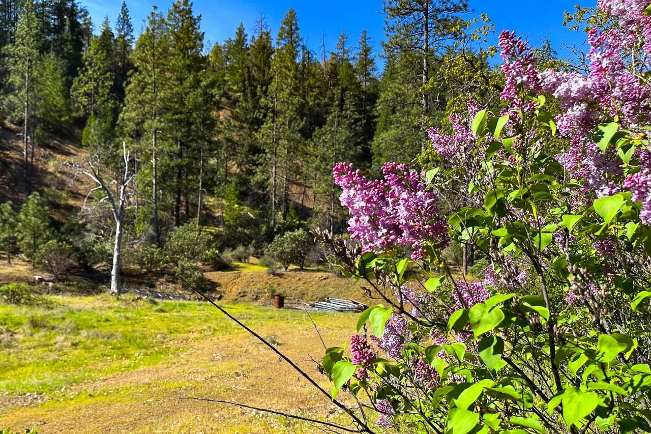 https://bt-photos.global.ssl.fastly.net/sacramento/1280_boomver_2_560967603-2.jpg