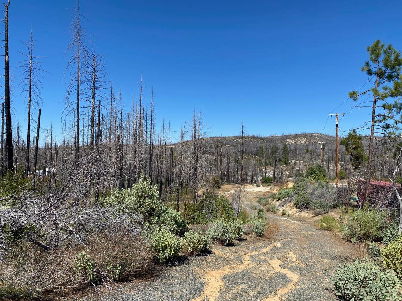 https://bt-photos.global.ssl.fastly.net/sacramento/1280_boomver_2_560969696-2.jpg