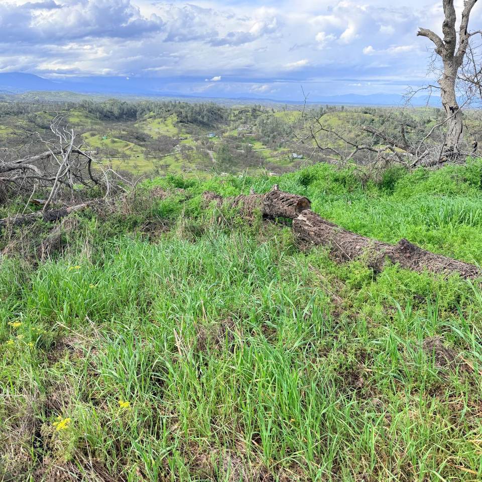 15782 Stagecoach Road - Photo 1