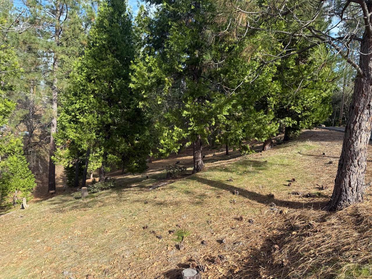 12053 Breckenridge - Photo 1