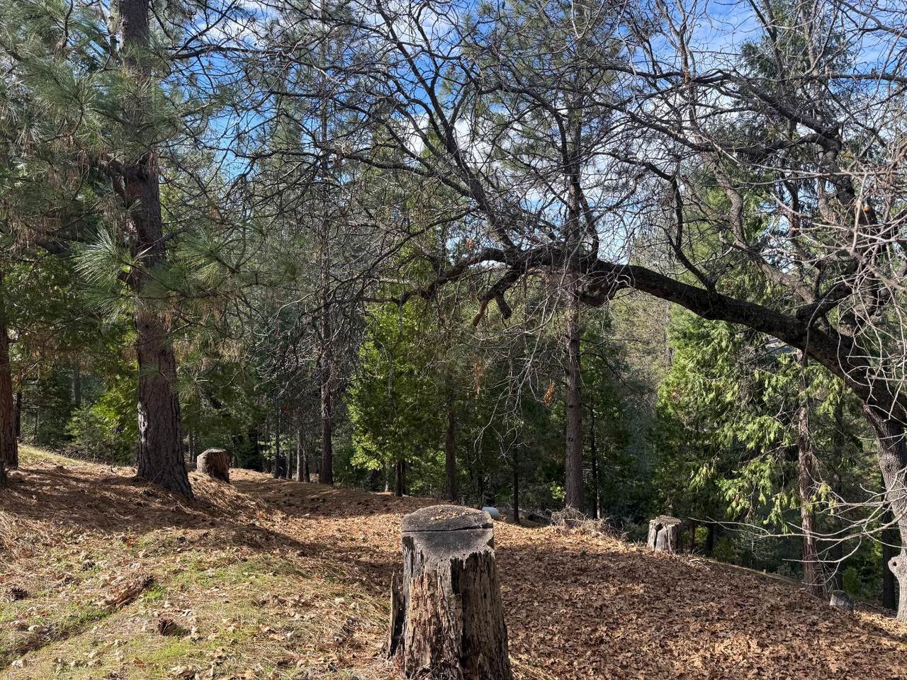 https://bt-photos.global.ssl.fastly.net/sacramento/1280_boomver_2_560970327-2.jpg