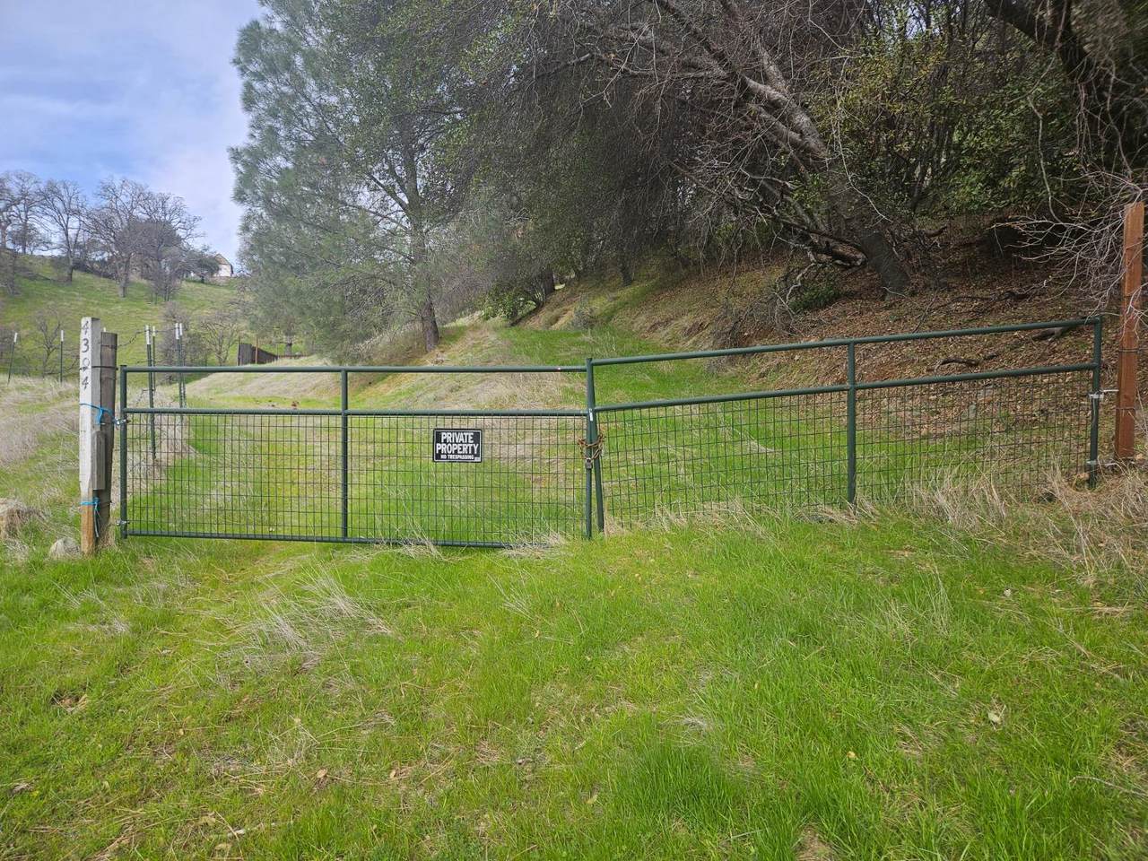 https://bt-photos.global.ssl.fastly.net/sacramento/1280_boomver_2_560972650-2.jpg