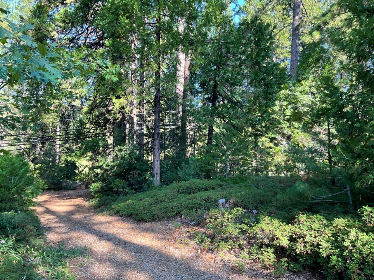 791 Highway 4 - Photo 1
