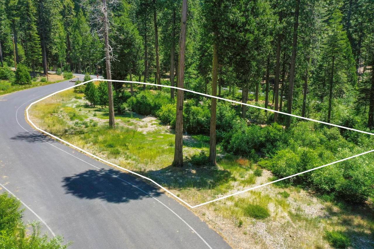 11 Timber Trail Court - Photo 1