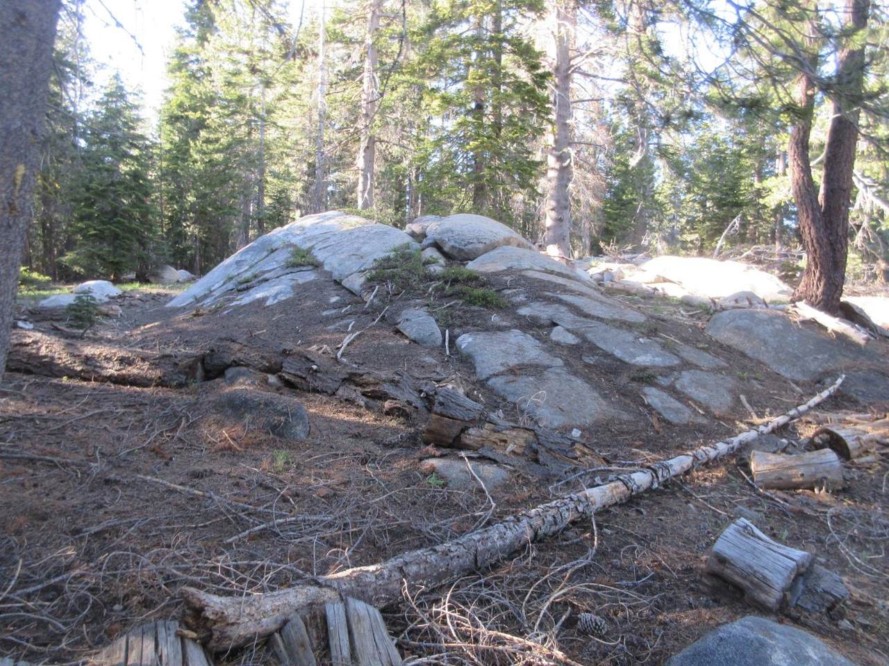 175 Silver Tip Drive - Photo 1