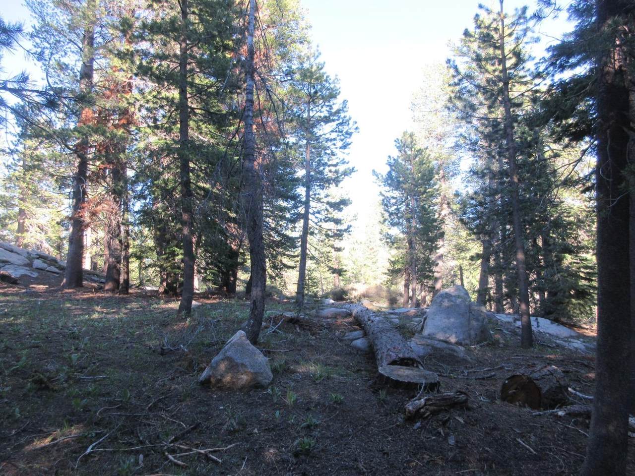 https://bt-photos.global.ssl.fastly.net/sacramento/1280_boomver_2_561030484-2.jpg