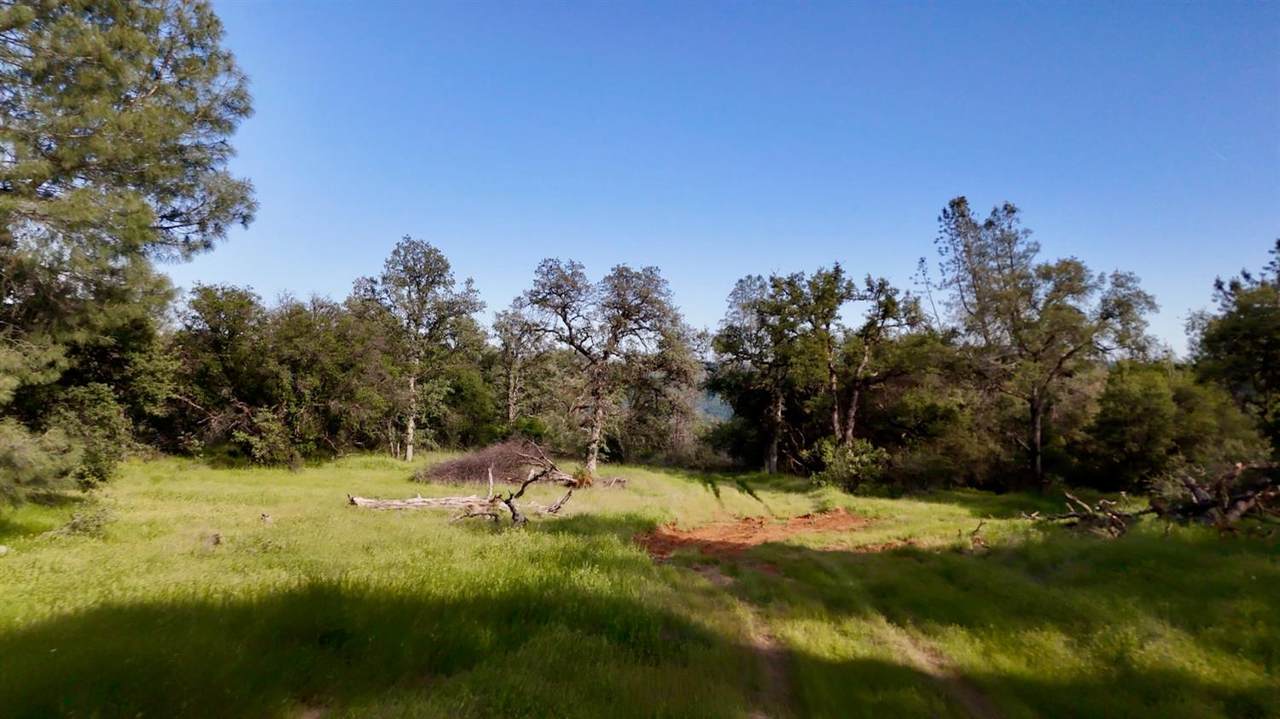 https://bt-photos.global.ssl.fastly.net/sacramento/1280_boomver_3_561032189-2.jpg