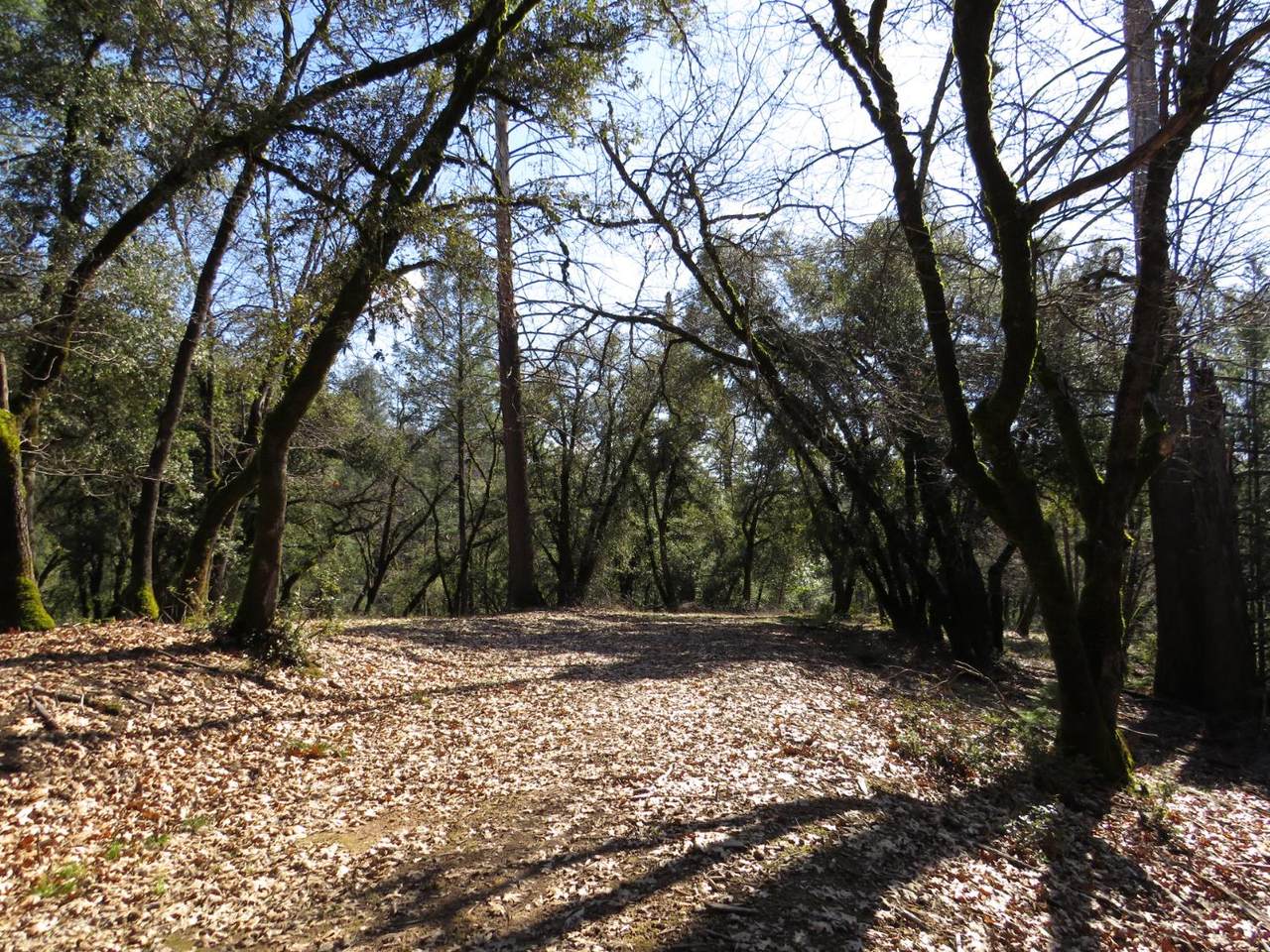 0 Forest Lake Place - Photo 1