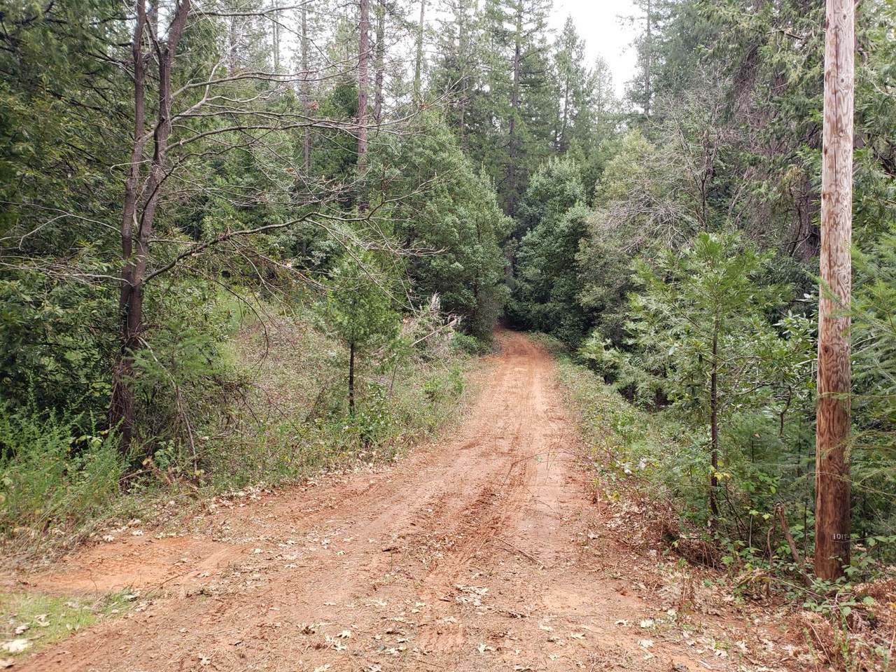 10012 La Porte - Photo 1