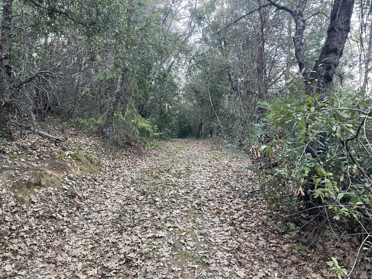 0 Defender Grade - Photo 1