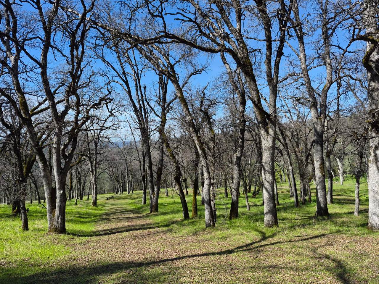 https://bt-photos.global.ssl.fastly.net/sacramento/1280_boomver_3_561043273-2.jpg
