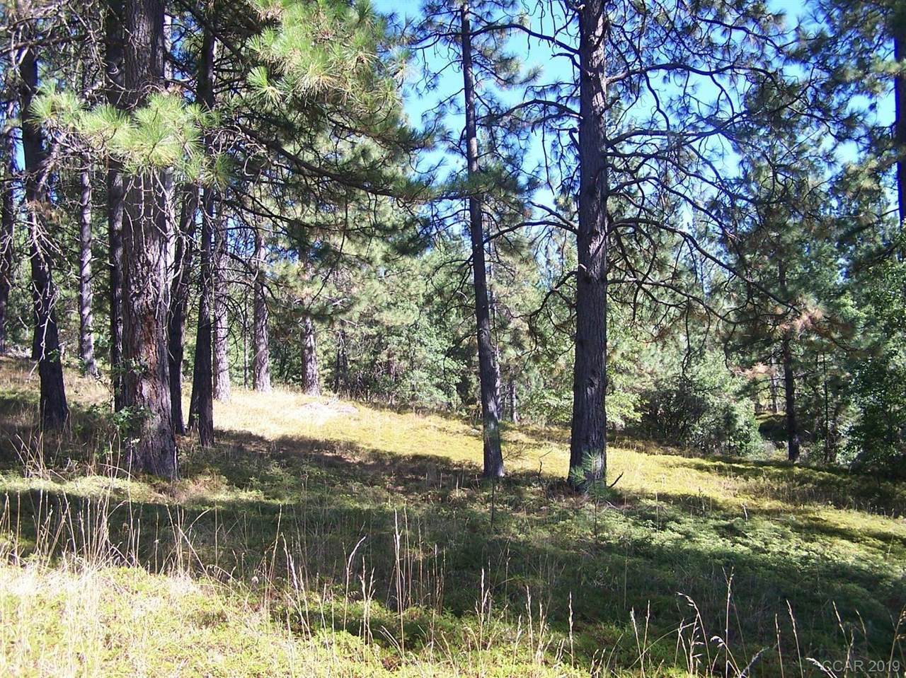 https://bt-photos.global.ssl.fastly.net/sacramento/1280_boomver_2_561049955-2.jpg