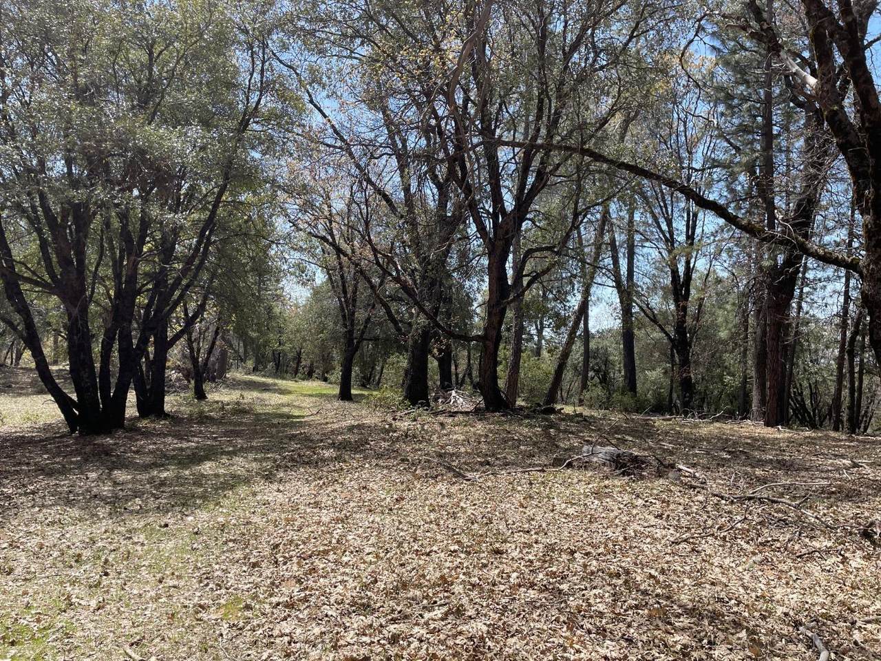 https://bt-photos.global.ssl.fastly.net/sacramento/1280_boomver_2_561049955-2.jpg