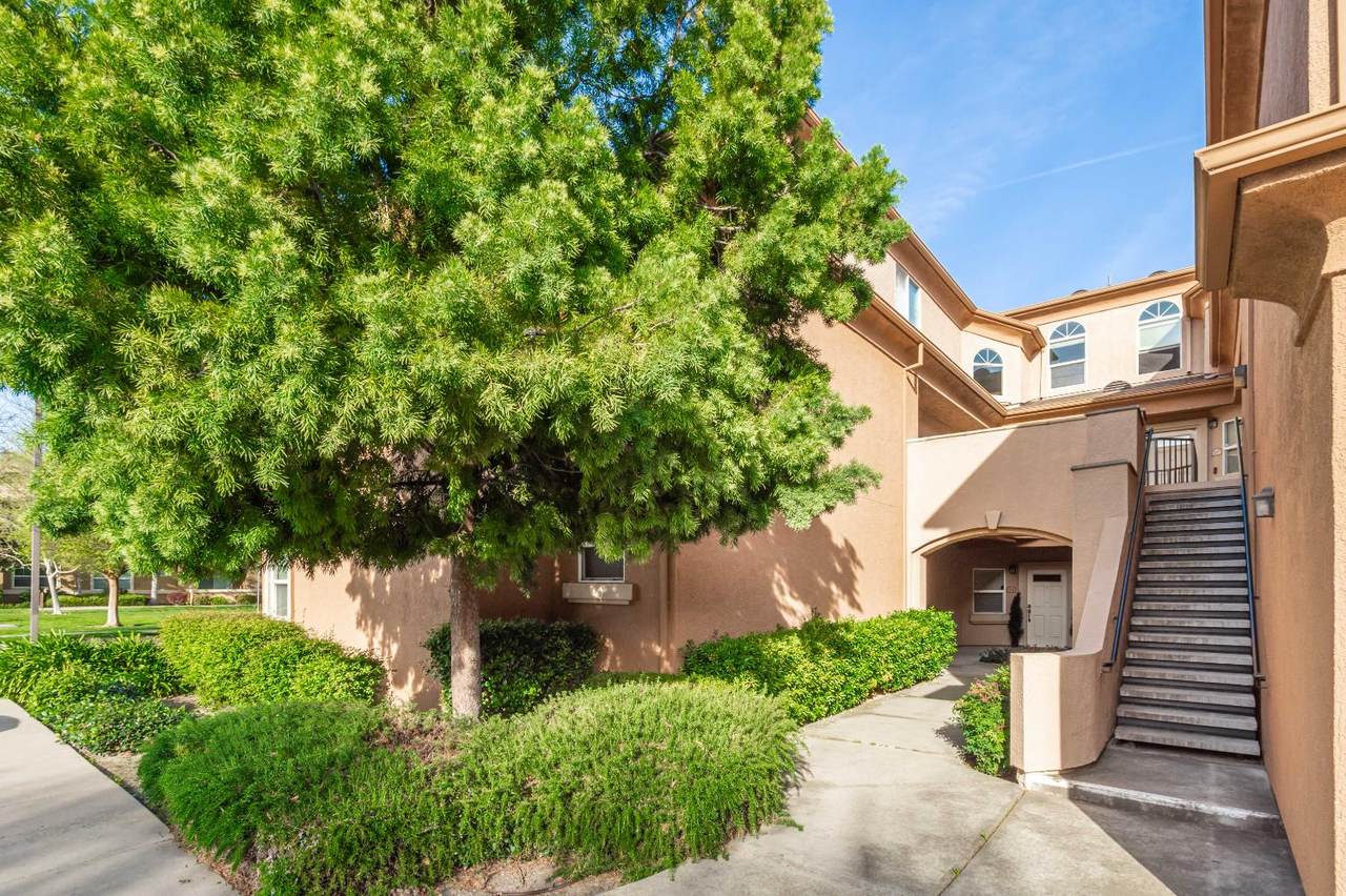 https://bt-photos.global.ssl.fastly.net/sacramento/1280_boomver_2_561052972-2.jpg