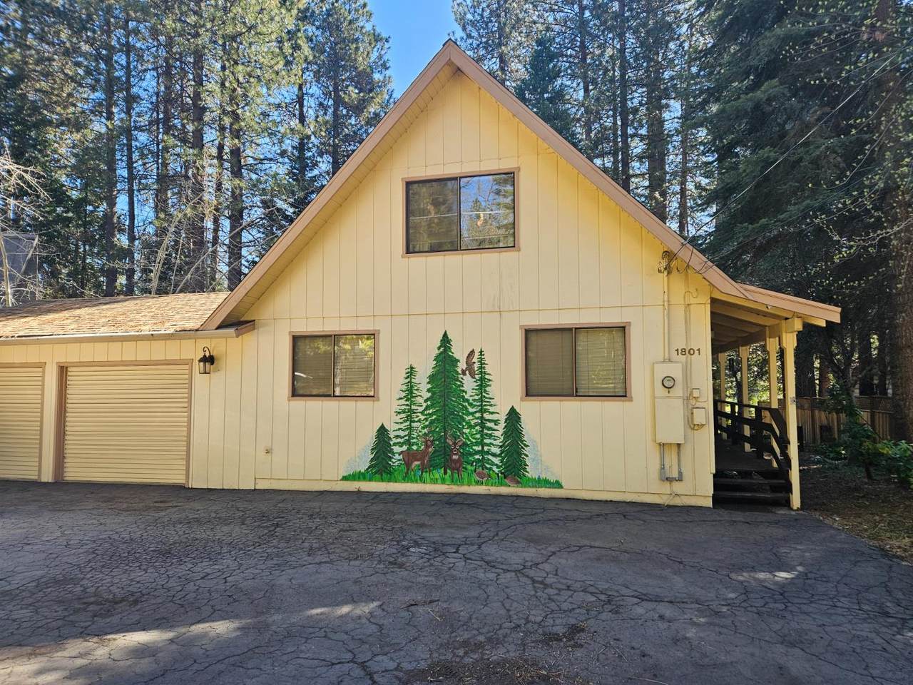 1801 Pine Drive - Photo 1