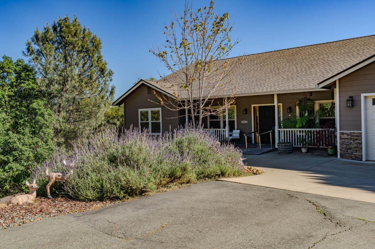 https://bt-photos.global.ssl.fastly.net/sacramento/1280_boomver_2_561064139-2.jpg