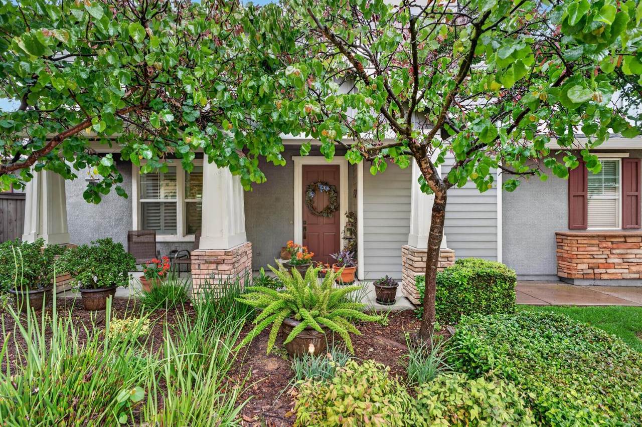 https://bt-photos.global.ssl.fastly.net/sacramento/1280_boomver_2_561076352-2.jpg