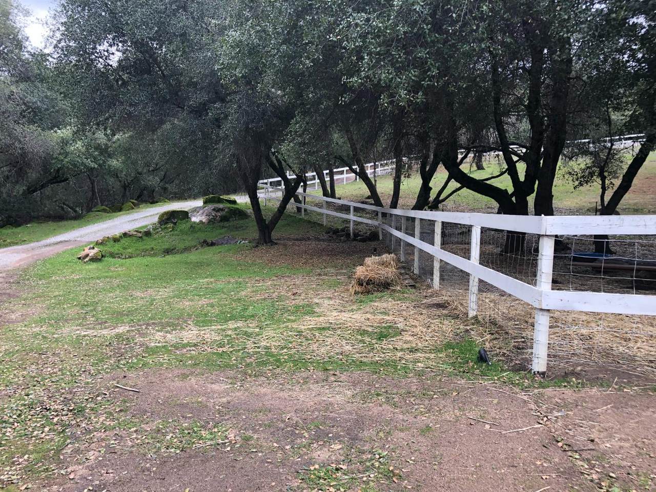 https://bt-photos.global.ssl.fastly.net/sacramento/1280_boomver_1_561186759-2.jpg