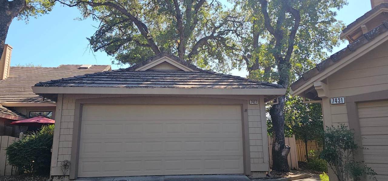 7427 Black Tree Lane - Photo 1