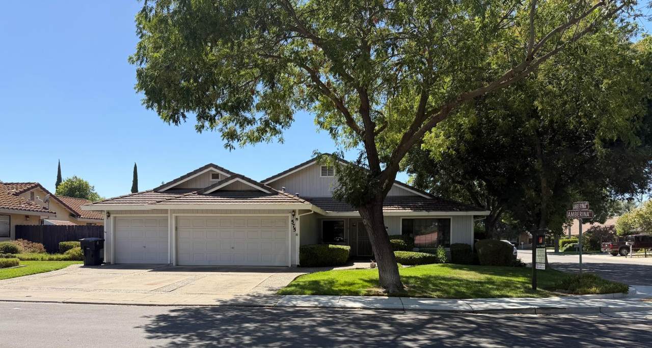 575 Amberina Drive - Photo 1