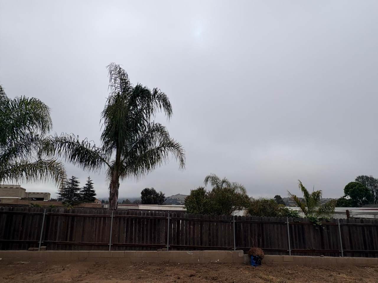 https://bt-photos.global.ssl.fastly.net/sacramento/1280_boomver_2_561203508-2.jpg