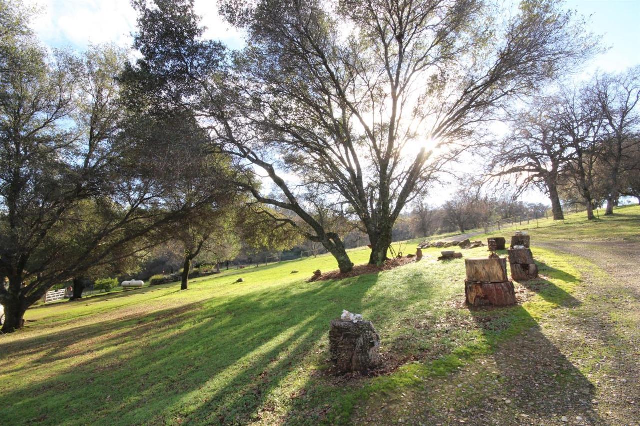 21115 Lake Ridge Drive - Photo 1