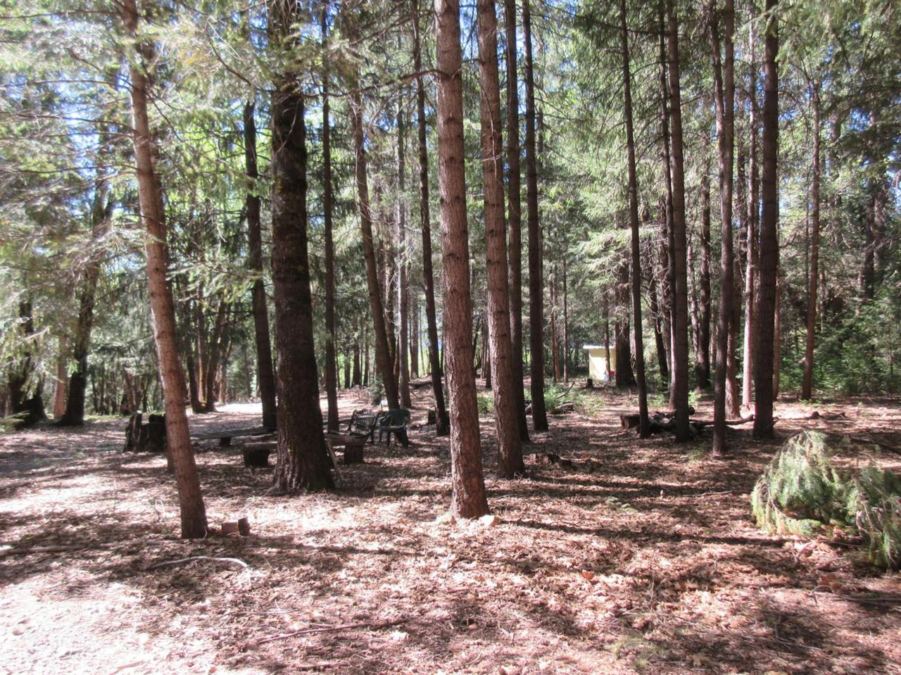 2575 Moody Ridge Road - Photo 1