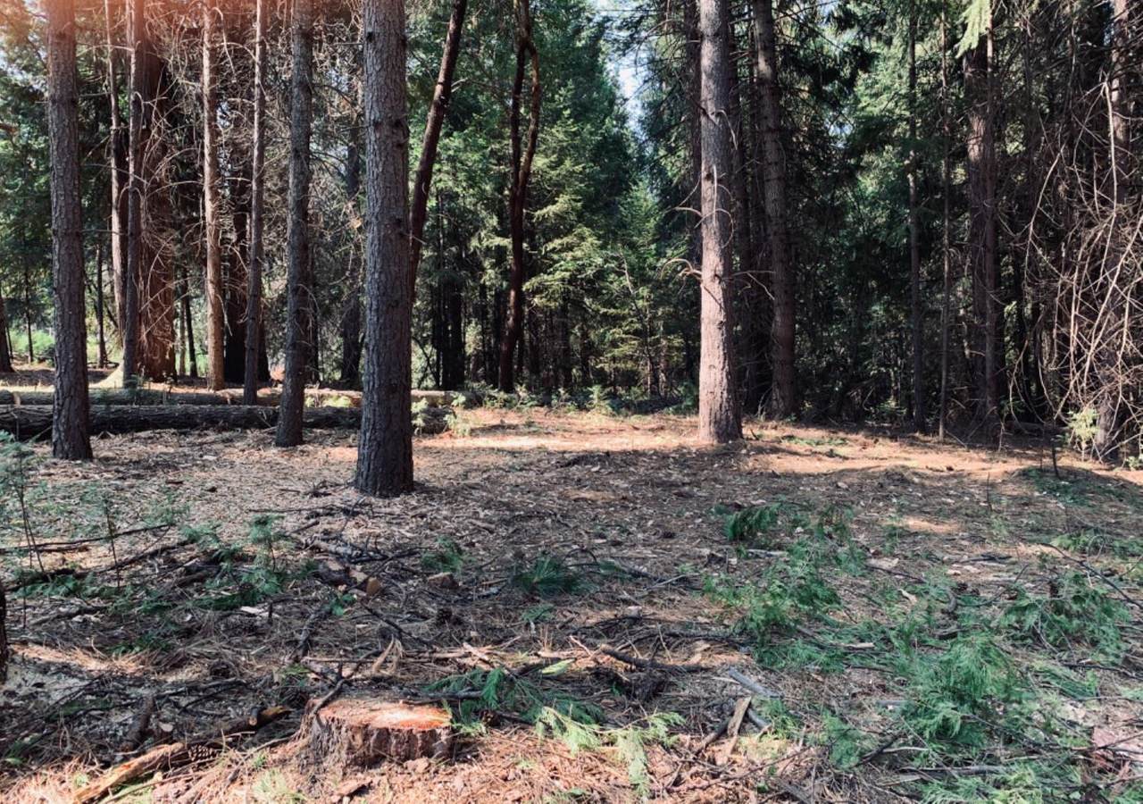17725 Debbie Court - Photo 1