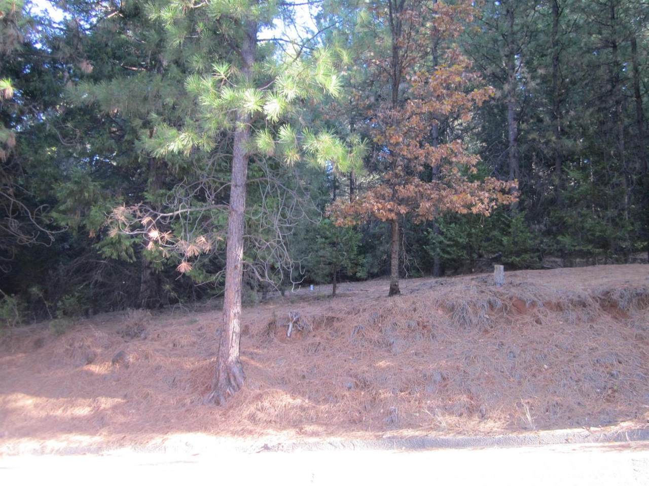5314 Pine Ridge Drive - Photo 1