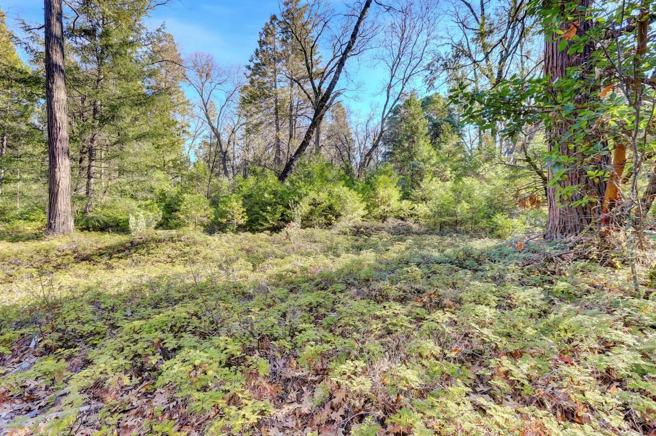 0 Cedar Ridge Drive - Photo 1