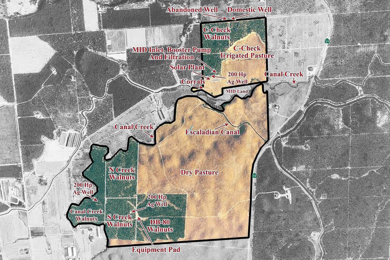 1002 Highway 59 - Photo 1