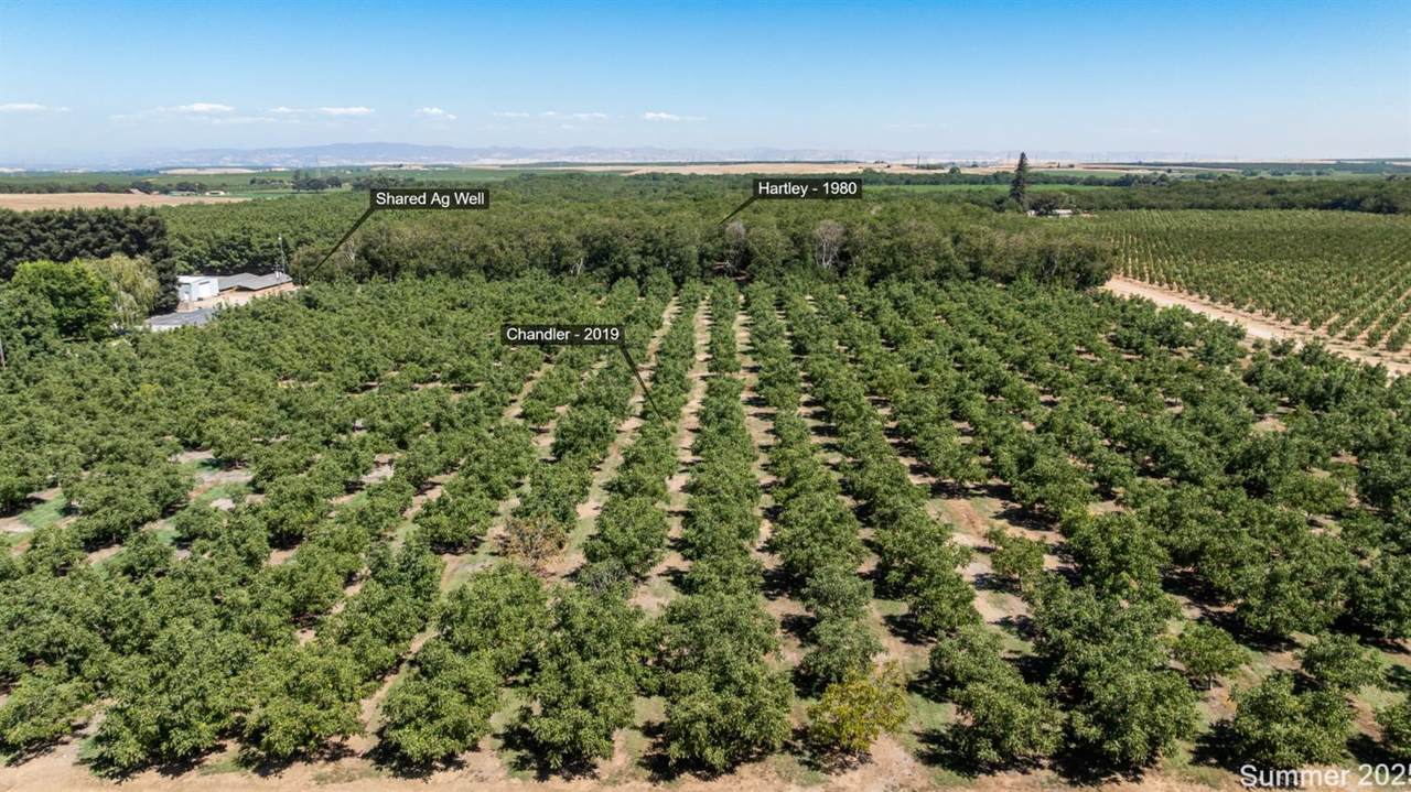 5210 Fine Road - Photo 1