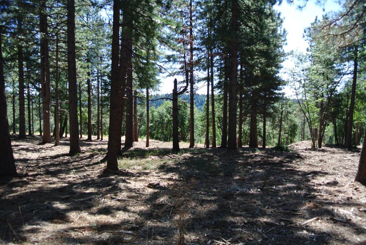 https://bt-photos.global.ssl.fastly.net/sacramento/1280_boomver_3_560851826-2.jpg