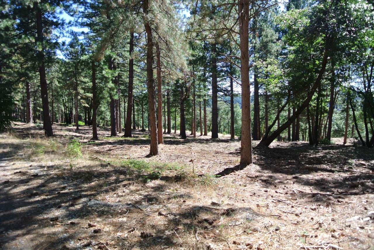 https://bt-photos.global.ssl.fastly.net/sacramento/1280_boomver_3_560851826-2.jpg