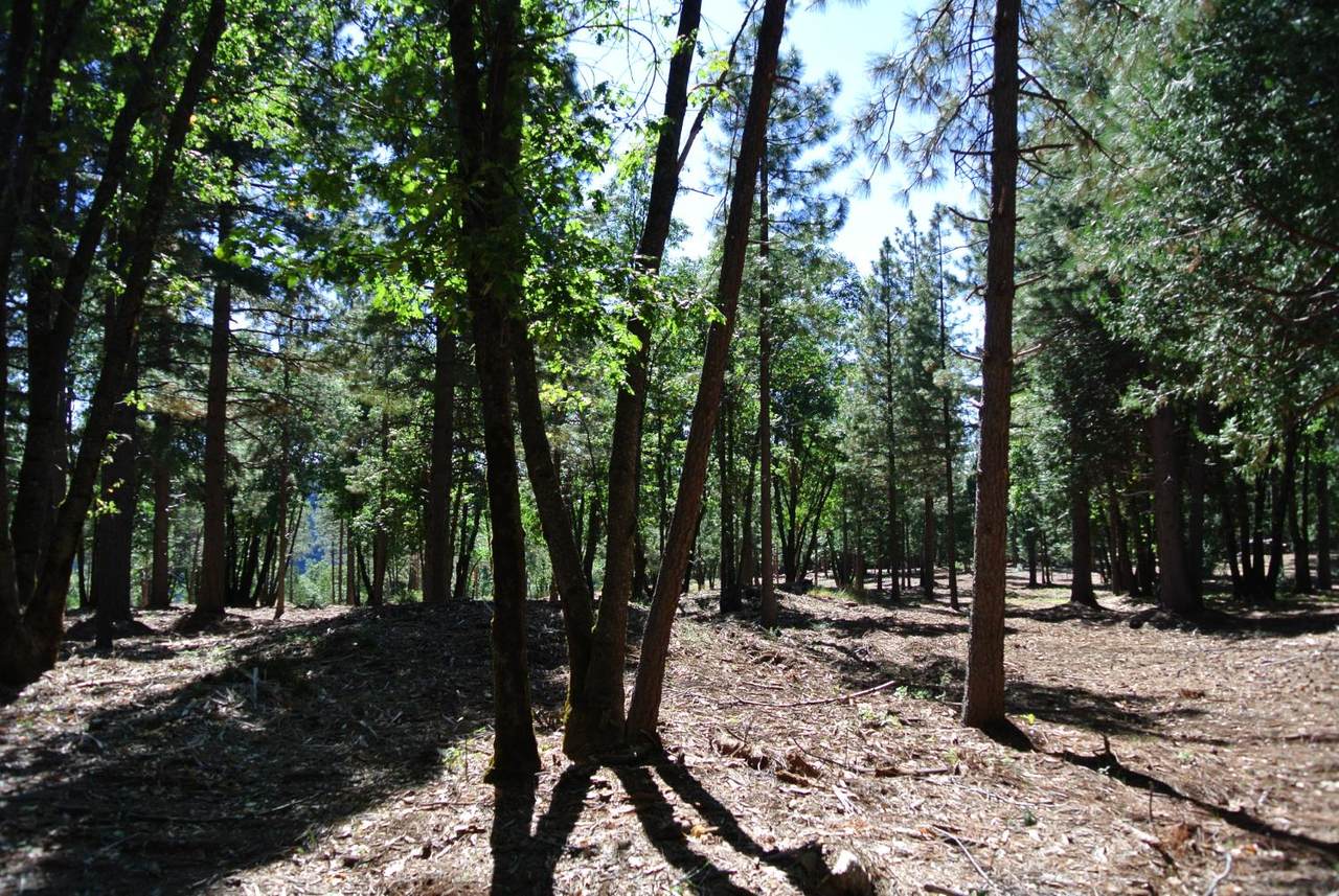 https://bt-photos.global.ssl.fastly.net/sacramento/1280_boomver_3_560851826-2.jpg