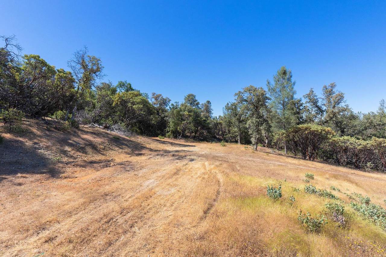 12996 Deadmans Flat Road - Photo 1