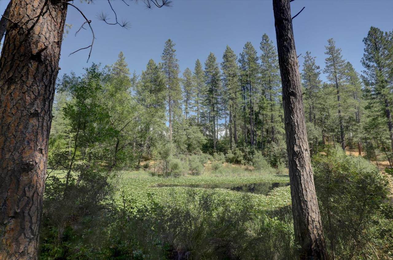 https://bt-photos.global.ssl.fastly.net/sacramento/1280_boomver_1_560906481-2.jpg