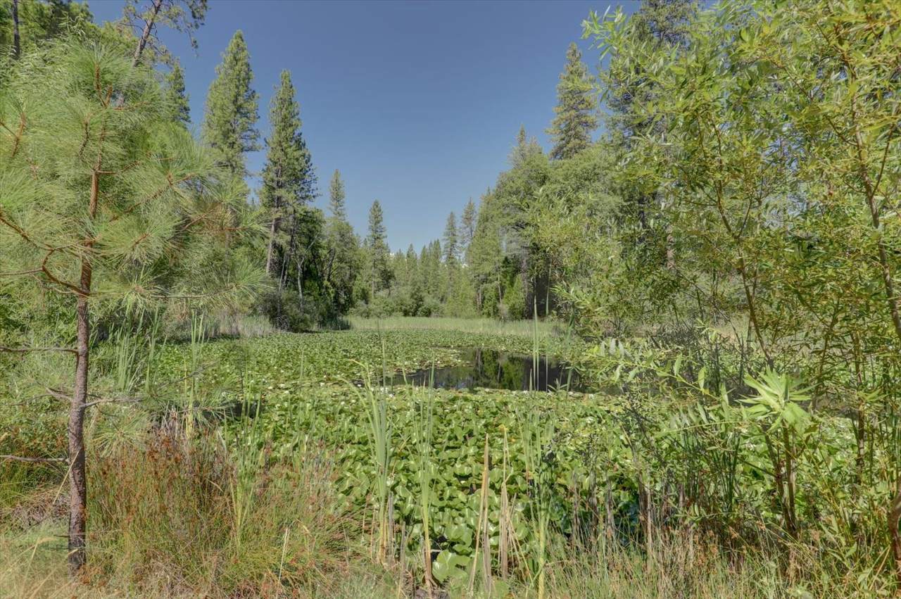 https://bt-photos.global.ssl.fastly.net/sacramento/1280_boomver_1_560906481-2.jpg