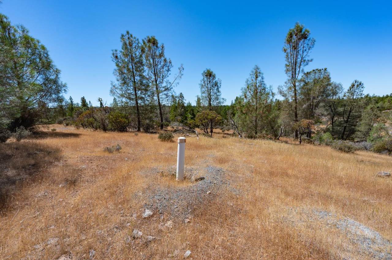 https://bt-photos.global.ssl.fastly.net/sacramento/1280_boomver_3_560915198-2.jpg