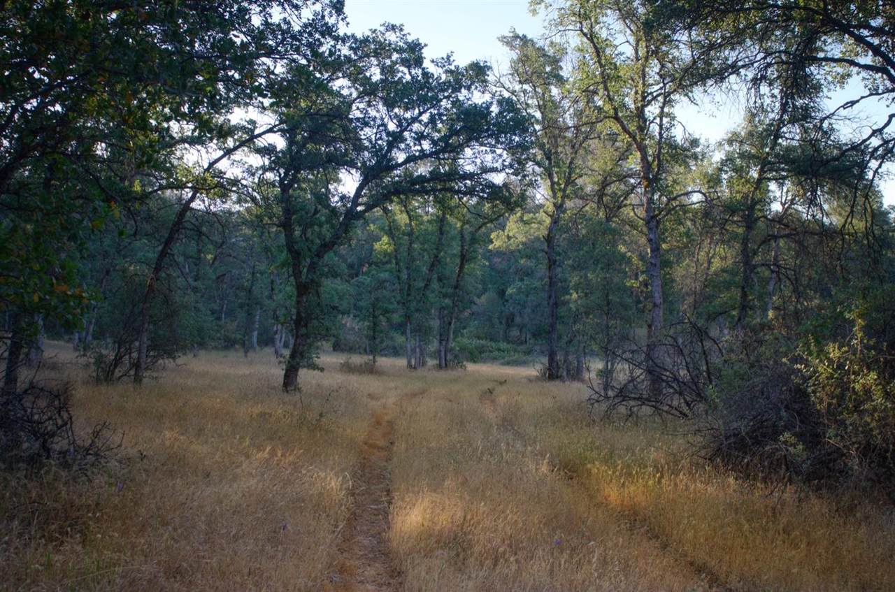 https://bt-photos.global.ssl.fastly.net/sacramento/1280_boomver_4_560919159-2.jpg