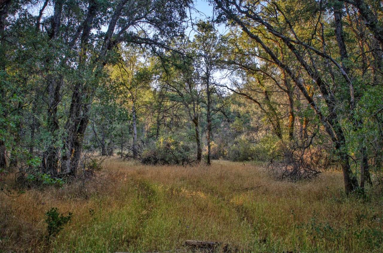 https://bt-photos.global.ssl.fastly.net/sacramento/1280_boomver_4_560919159-2.jpg