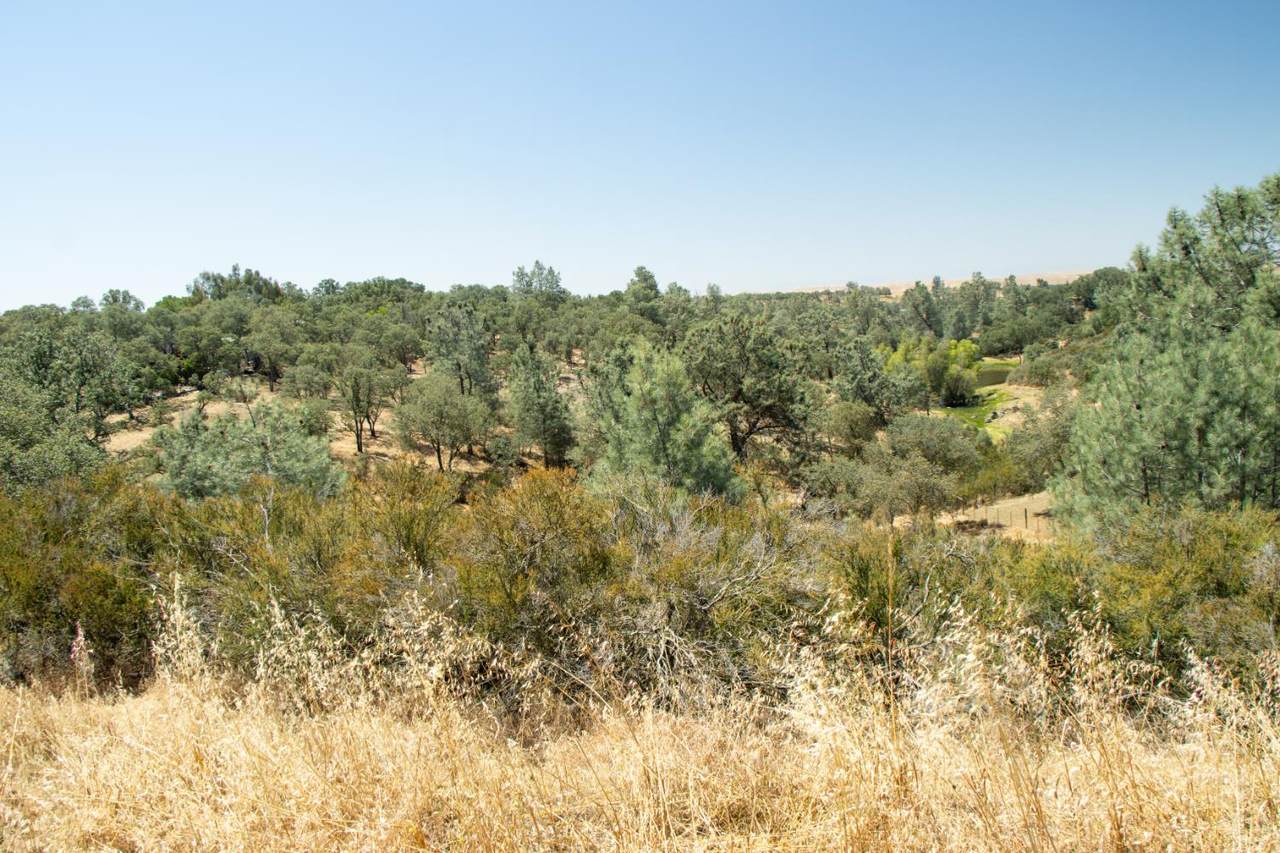 https://bt-photos.global.ssl.fastly.net/sacramento/1280_boomver_3_560934449-2.jpg