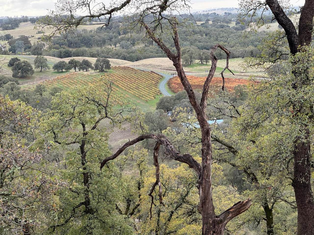 https://bt-photos.global.ssl.fastly.net/sacramento/1280_boomver_1_560950728-2.jpg