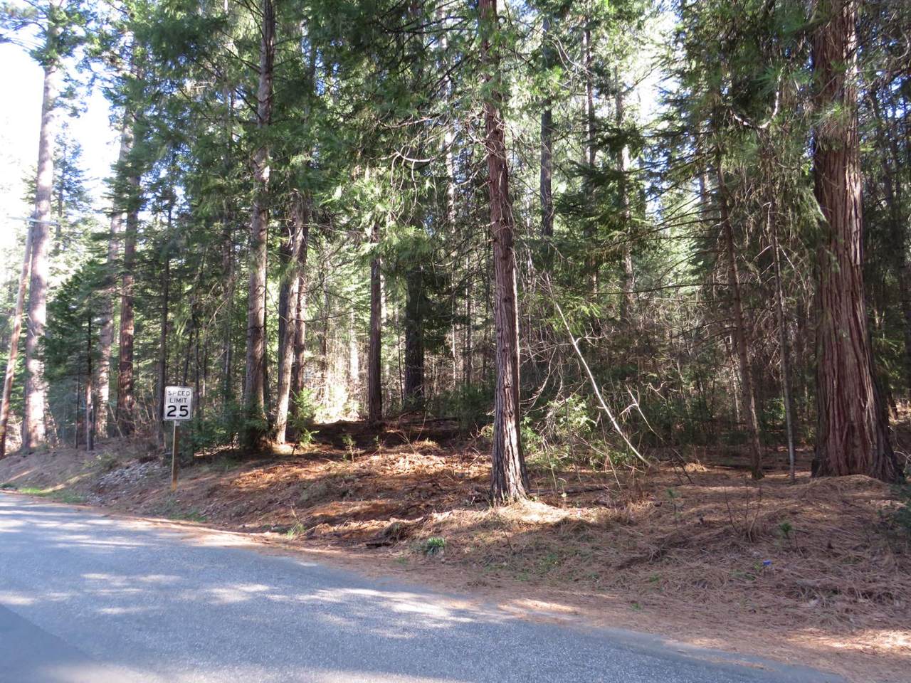 0 Alta Power House Road - Photo 1