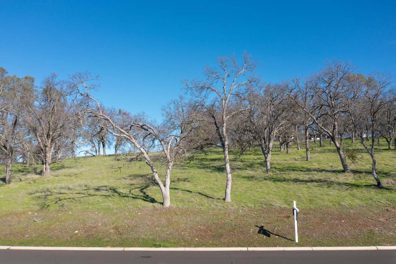 6583 Western Sierra Way - Photo 1