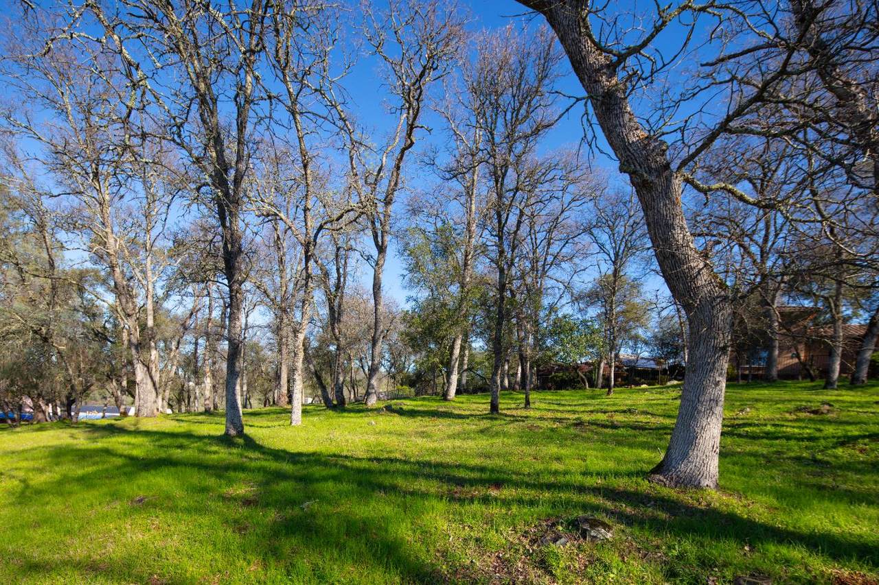 https://bt-photos.global.ssl.fastly.net/sacramento/1280_boomver_5_560961148-2.jpg