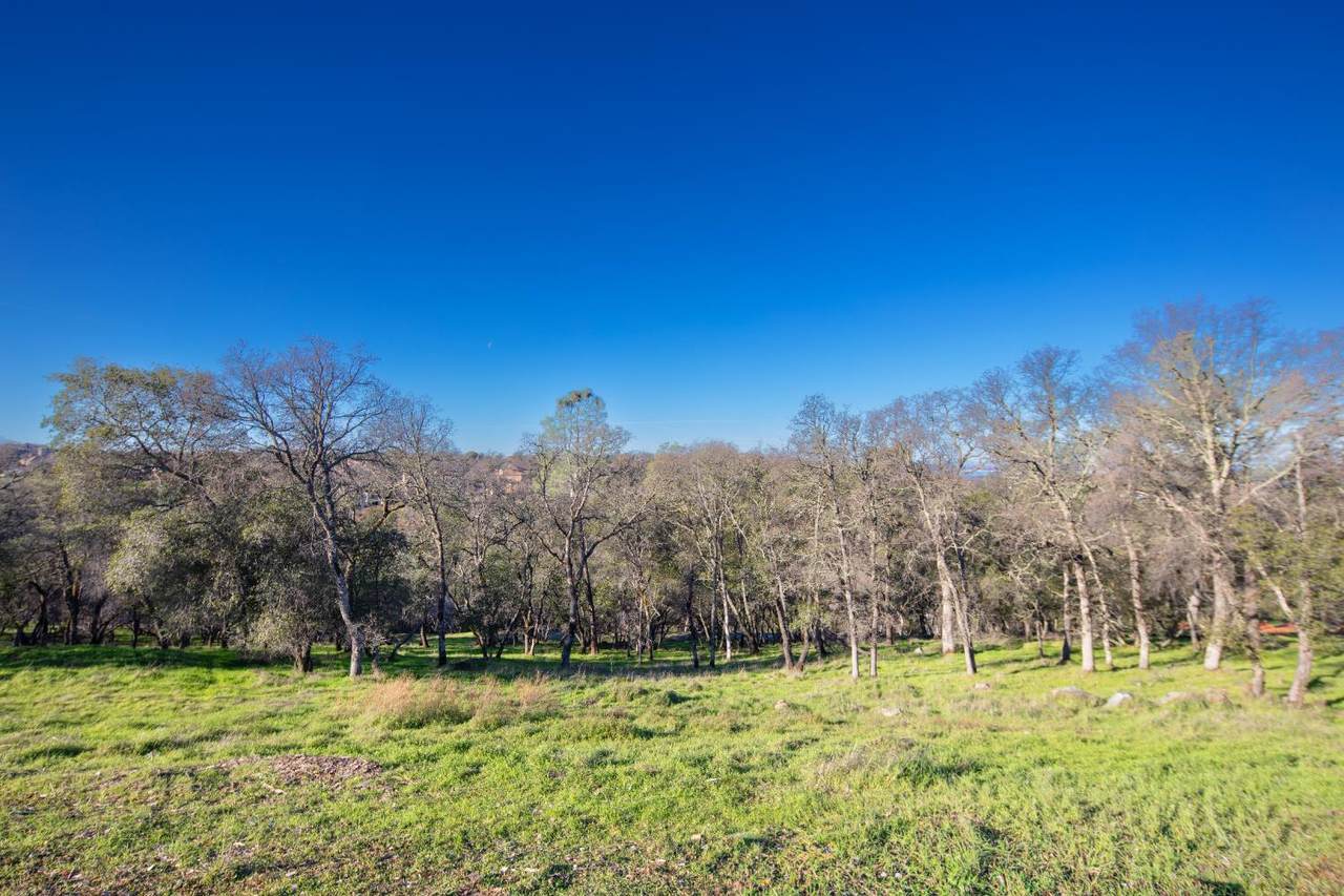 https://bt-photos.global.ssl.fastly.net/sacramento/1280_boomver_4_560961287-2.jpg