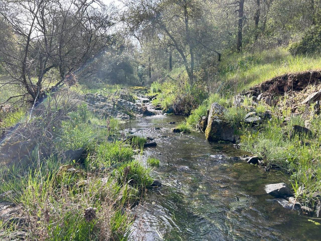 https://bt-photos.global.ssl.fastly.net/sacramento/1280_boomver_4_560964383-2.jpg