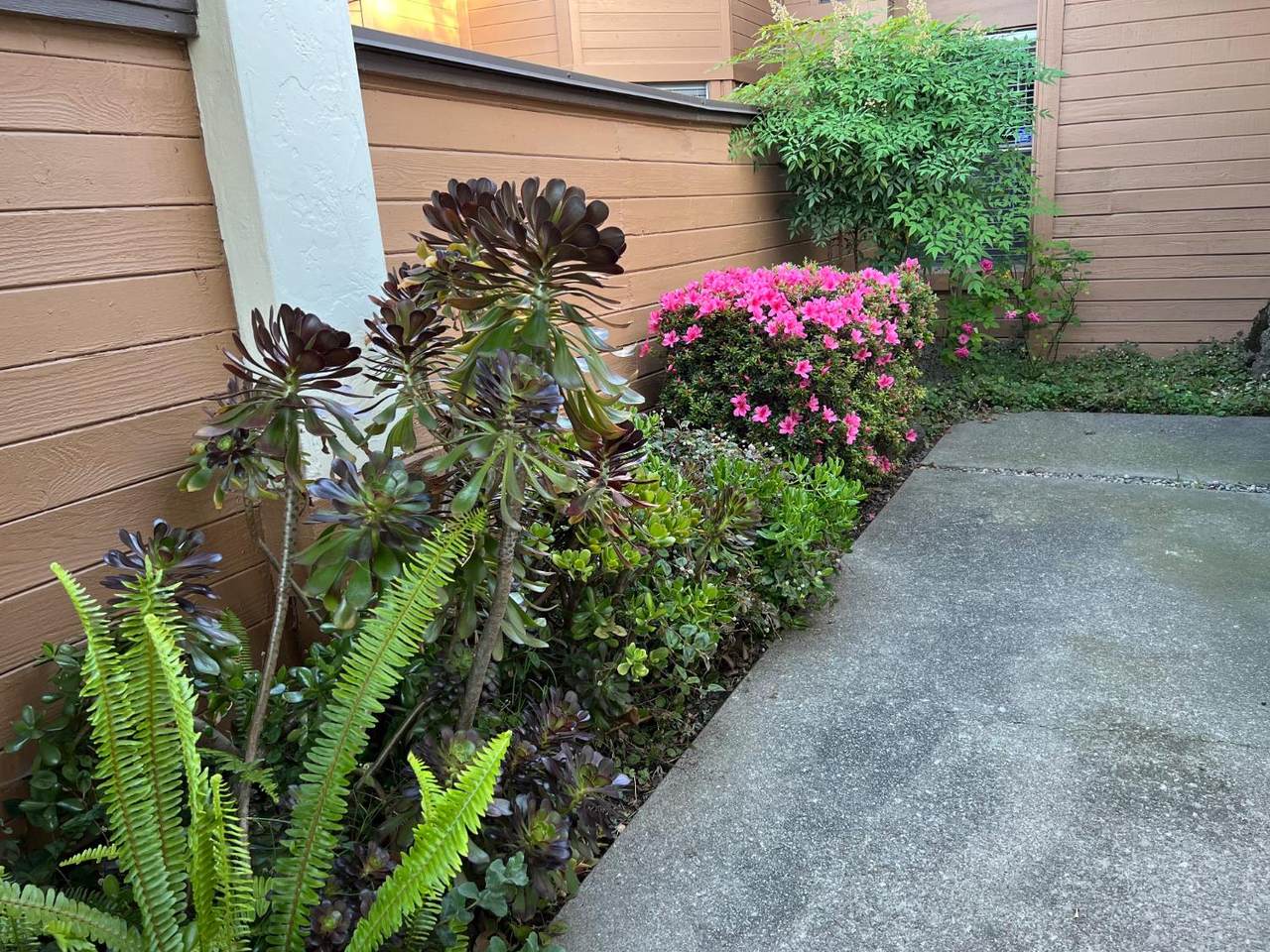 1417 Swain Road - Photo 1