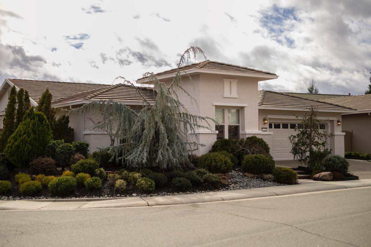 1224 Tiger Lily Lane - Photo 1